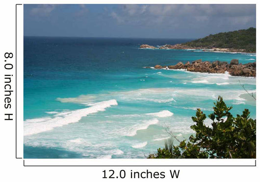 Tropical Coast Wall Decal