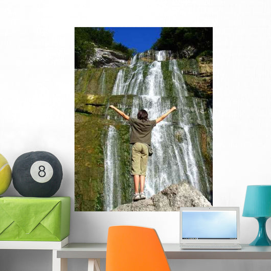 Facing Cascade Wall Decal