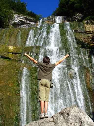 Facing Cascade Wall Decal
