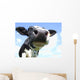 Cow Nose Close-up Wall Decal