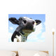 Cow Nose Close-up Wall Decal