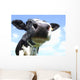 Cow Nose Close-up Wall Decal