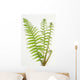 Dryopteris Is-mas Male Fern Wall Decal