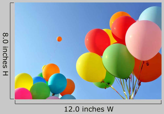 Multicolored Balloons Wall Decal