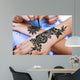 Henna Being Applied to Wall Decal