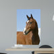 Brown Horse Wall Decal