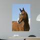 Brown Horse Wall Decal