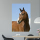 Brown Horse Wall Decal