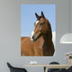 Brown Horse Wall Decal