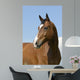 Brown Horse Wall Decal