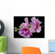 Pink Hollyhock Wall Decal
