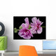Pink Hollyhock Wall Decal