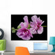 Pink Hollyhock Wall Decal