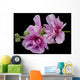 Pink Hollyhock Wall Decal