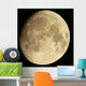 Clear Big Moon Rising Wall Decal