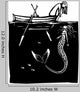 Girl and Mermaid Wall Decal