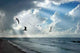 Light and Seagulls Wall Decal