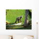 Riziere 1 Wall Decal