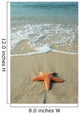 Starfish and Ocean Wall Decal