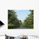 Allee Bloom Wall Decal