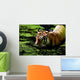 Tiger Water Wall Decal