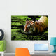 Tiger Water Wall Decal