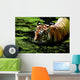 Tiger Water Wall Decal