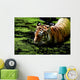 Tiger Water Wall Decal