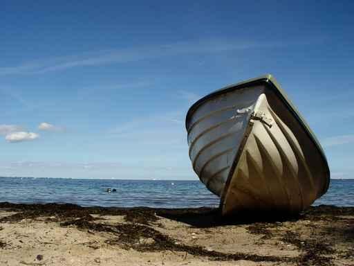 Stranded Wall Decal
