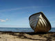Stranded Wall Decal