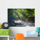 Virgin Forest and River Wall Decal