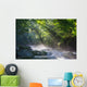 Virgin Forest and River Wall Decal
