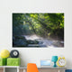 Virgin Forest and River Wall Decal