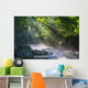 Virgin Forest and River Wall Decal