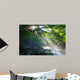 Virgin Forest and Mountain with Sun Beams Wall Decal