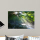 Virgin Forest and Mountain with Sun Beams Wall Decal
