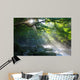 Virgin Forest and Mountain with Sun Beams Wall Decal