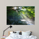 Virgin Forest and Mountain with Sun Beams Wall Decal