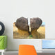 Rupal Joshi Wall Decal