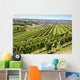 Vineyard Italy Wall Decal