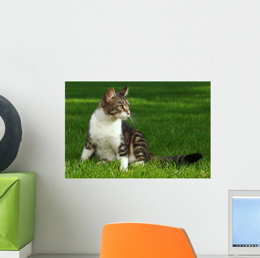 Cat Playing Outdoors Grass Wall Decal