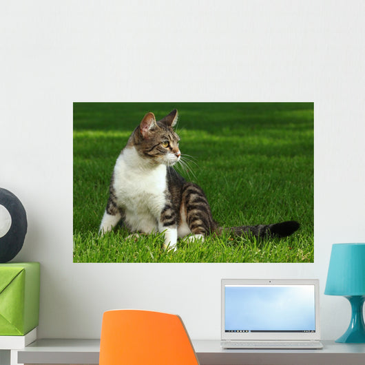 Cat Playing Outdoors Grass Wall Decal