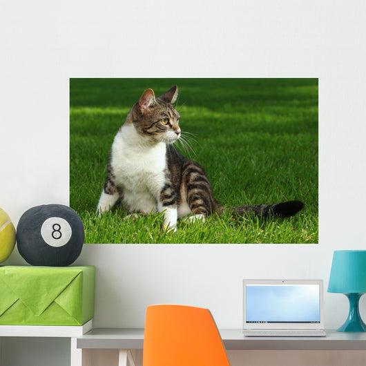 Cat Playing Outdoors Grass Wall Decal