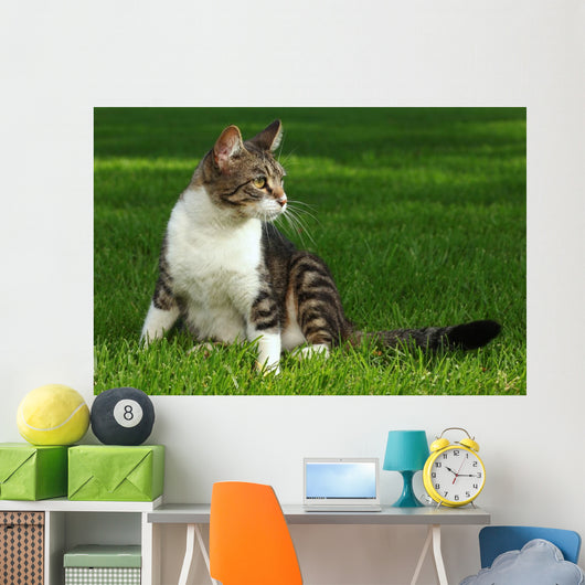 Cat Playing Outdoors Grass Wall Decal