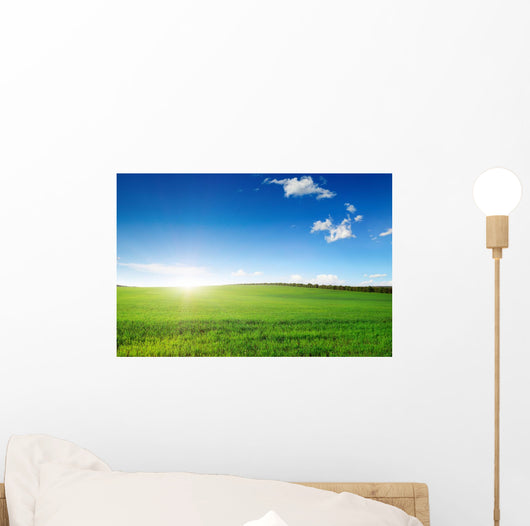 Dawn Field Wall Decal