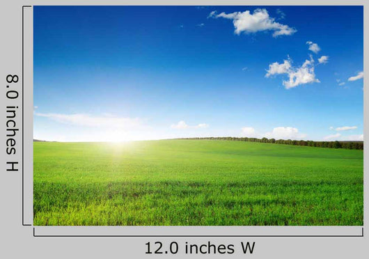 Dawn Field Wall Decal