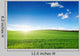 Dawn Field Wall Decal