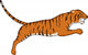 Tiger Jumping Wall Decal