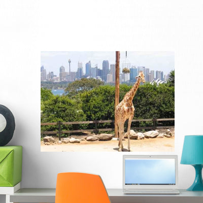 Taroonga Zoo Sydney Wall Decal shown on a wall