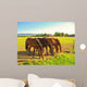 4 Konie W Jednym Wall Decal